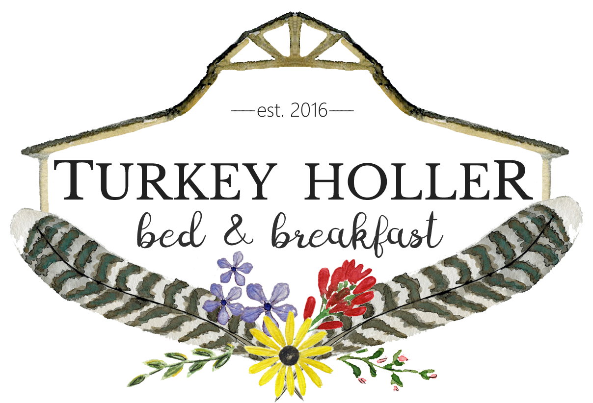 Turkey Holler Bed and Breakfast